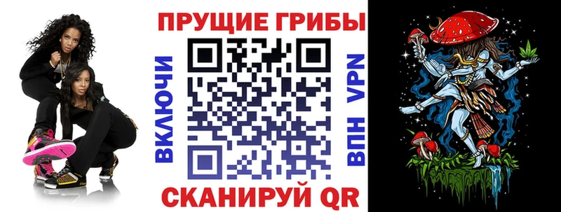 Псилоцибиновые грибы мухоморы  Правдинск 